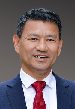 Professor Tan Weihong