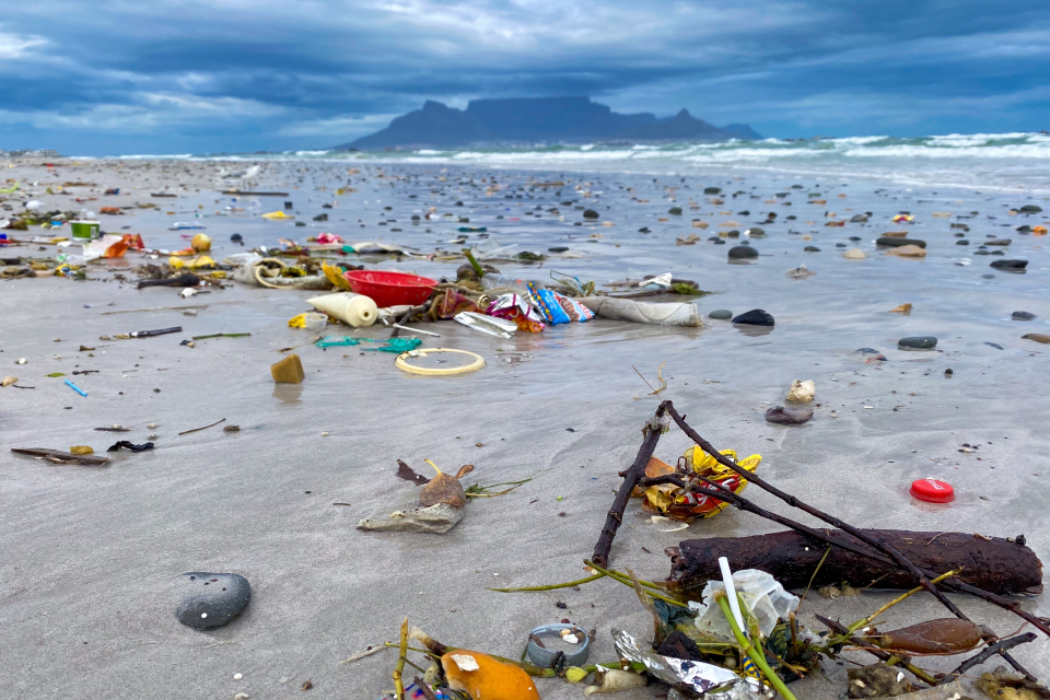 Breathe safe! Safeguarding lung health against airborne plastics 
